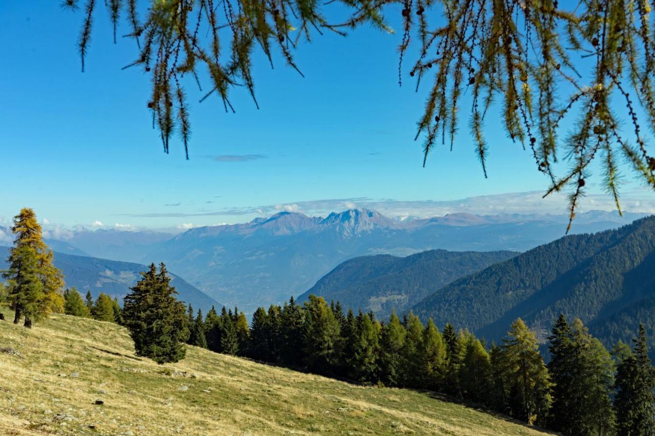 Hotel Alpenhof Ultimo Kültér fotó